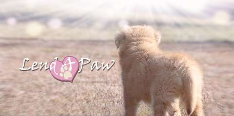 Lend A Paw Animal Rescue Inc. Lend A Paw Animal Rescue Inc.
